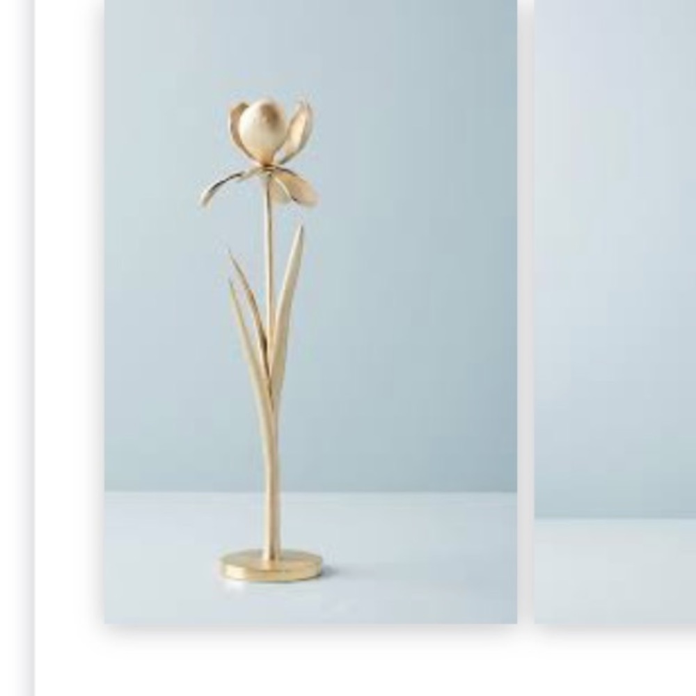 In search of Anthropologie iris taper candlestick